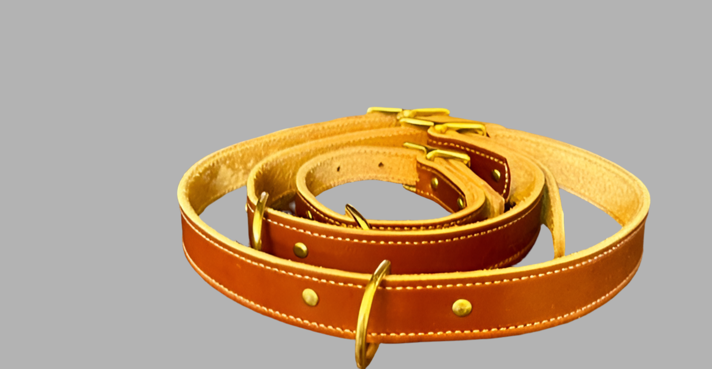 Lagrange Leather Dog Collar